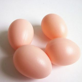 Mua Mô hình trứng gà bằng nhựa