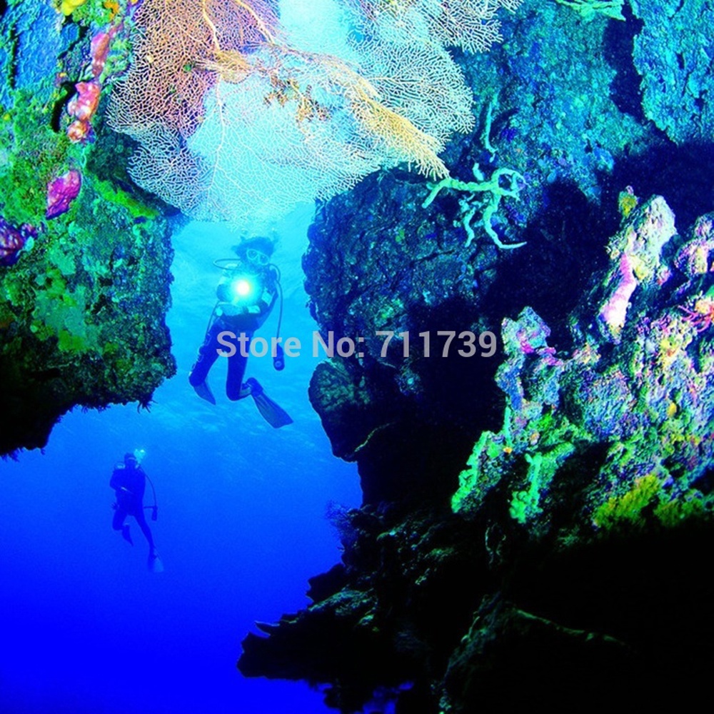 Đèn Pin Lặn Chống Thấm Nước 100M Alonefire DV57 Cree XM-L2