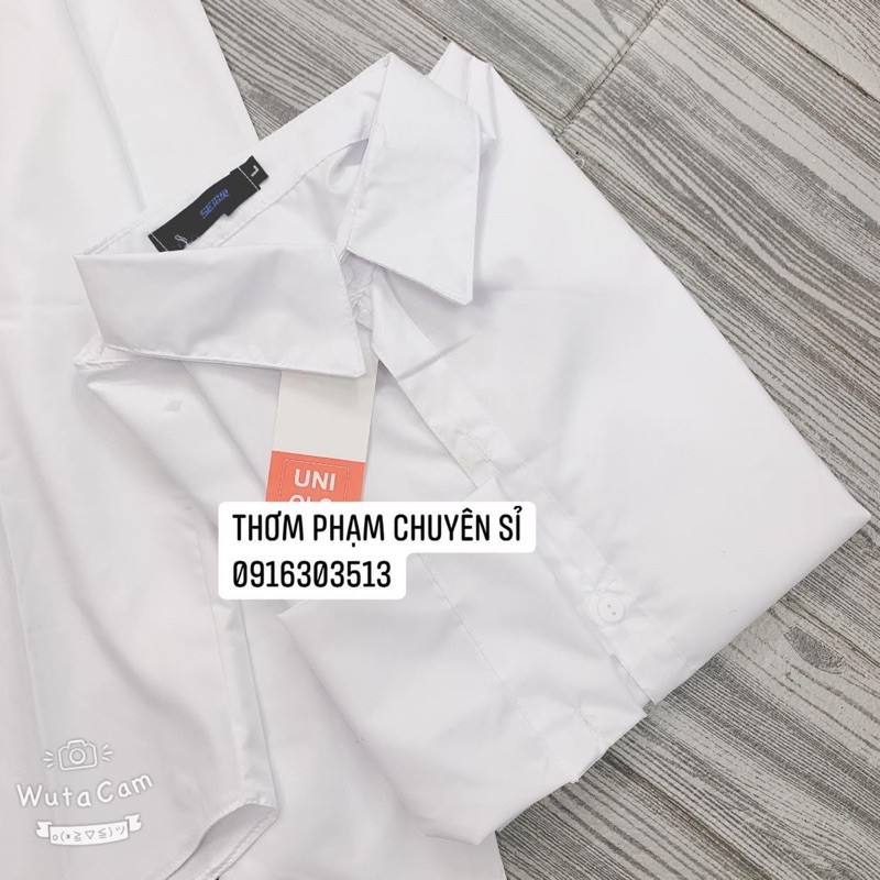 sơ mi trắng nữ cổ đức uni