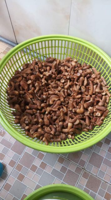 Ruốc nấm hương/Ruốc nấm Rong Biển Hàn Quốc siêu ngon