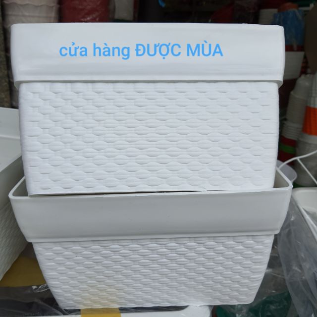 Chậu vuông đan chữ nhật 30cm.