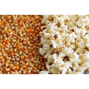 COMBO 6KG BẮP MỸ RANG BƠ