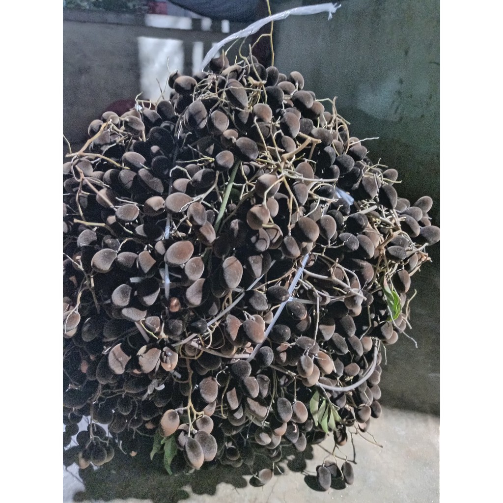 500GR Bánh xoài Nha Trang, bánh xoài dẻo thơm NHII FOOD thực phẩm sạch nhà làm | BigBuy360 - bigbuy360.vn