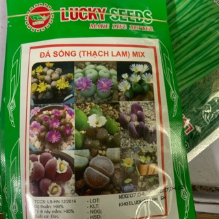 Đá sống (thạch lam) mix