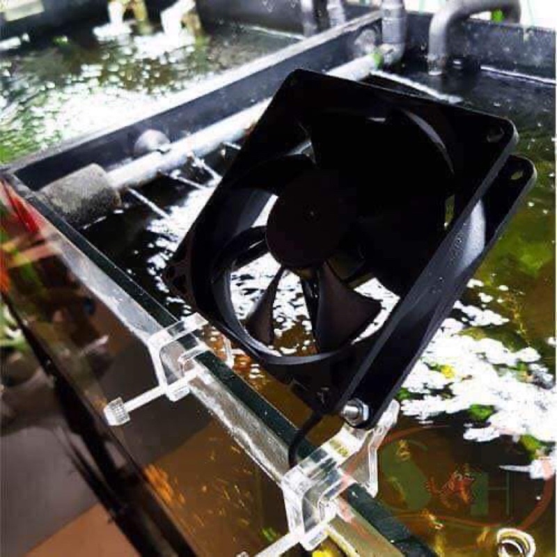 Chân Quạt Chế Cao Cấp - Chân Quạt Mica