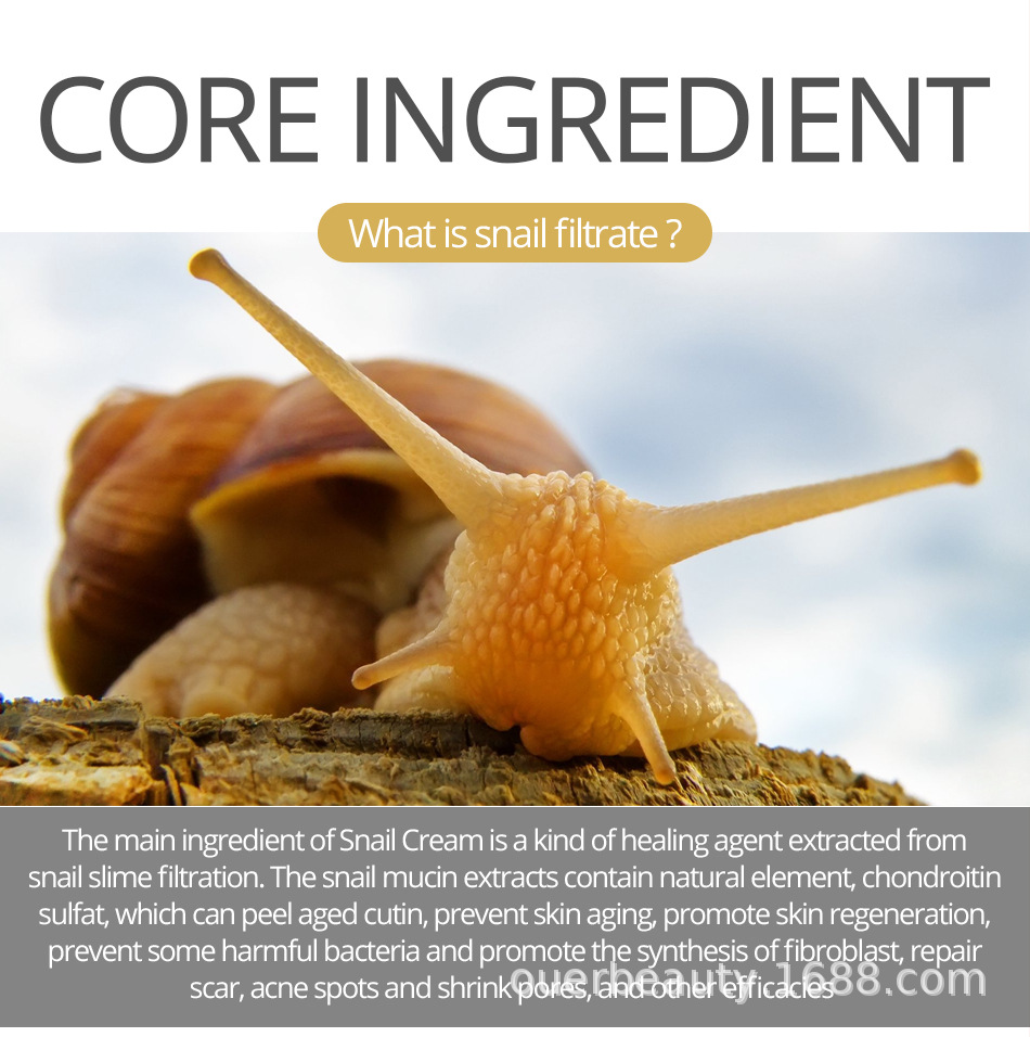 [Hàng mới về] Serum Ốc Sên Hyaluronic Acid Collagen Dưỡng Ẩm Da Mặt Vibrant Glamor