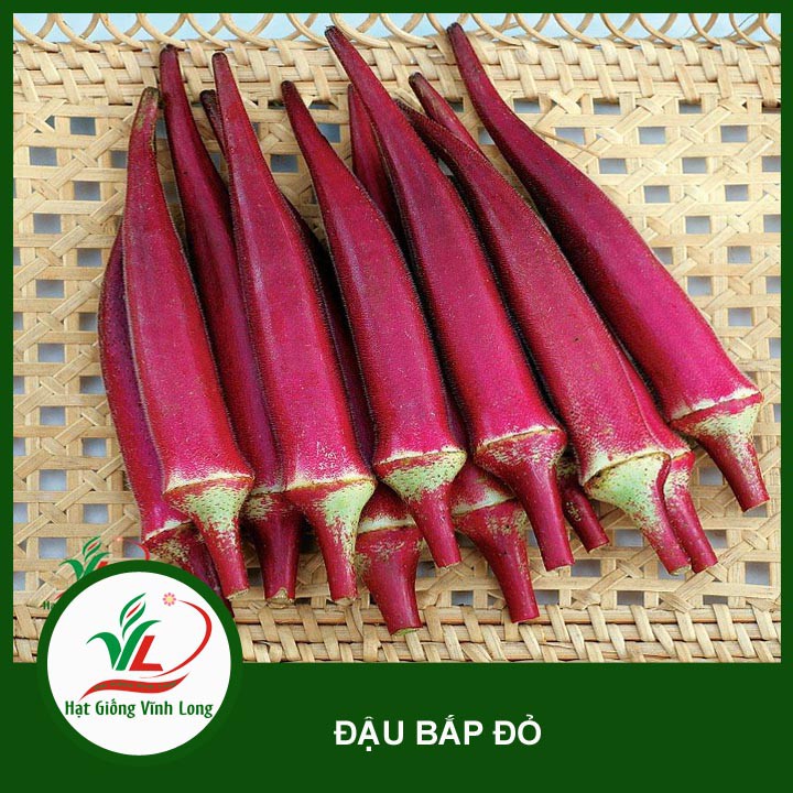 Hạt giống Đậu bắp đỏ RD 309 - 2g