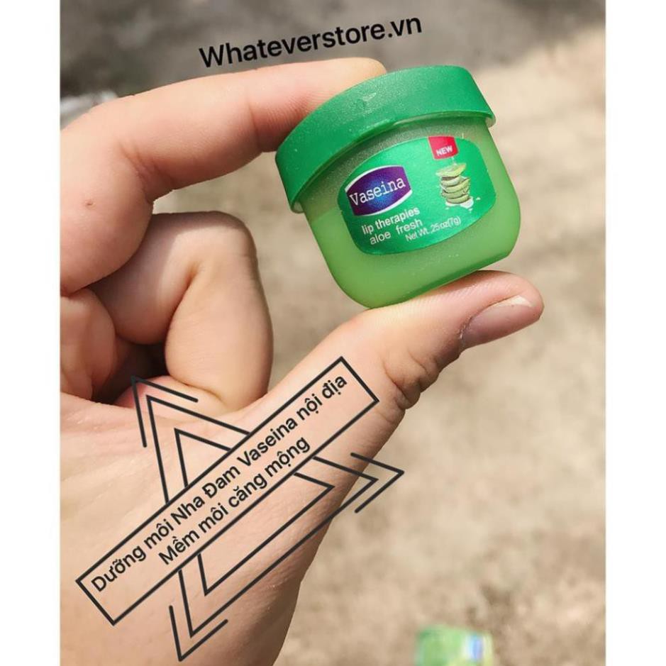 Sáp Dưỡng Môi Nha Đam Vaseina Mềm Môi Căng Mọng 7gr ✅FLASH SALE✅ | BigBuy360 - bigbuy360.vn