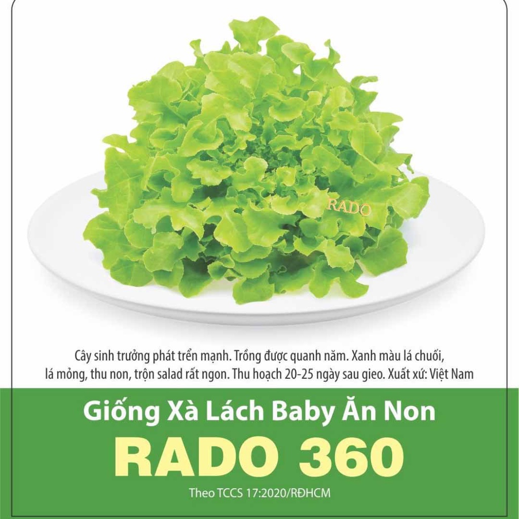 Hạt giống Xà lách baby ăn non Rado 360 (10g) Rạng Đông | VTNN Cần Thơ