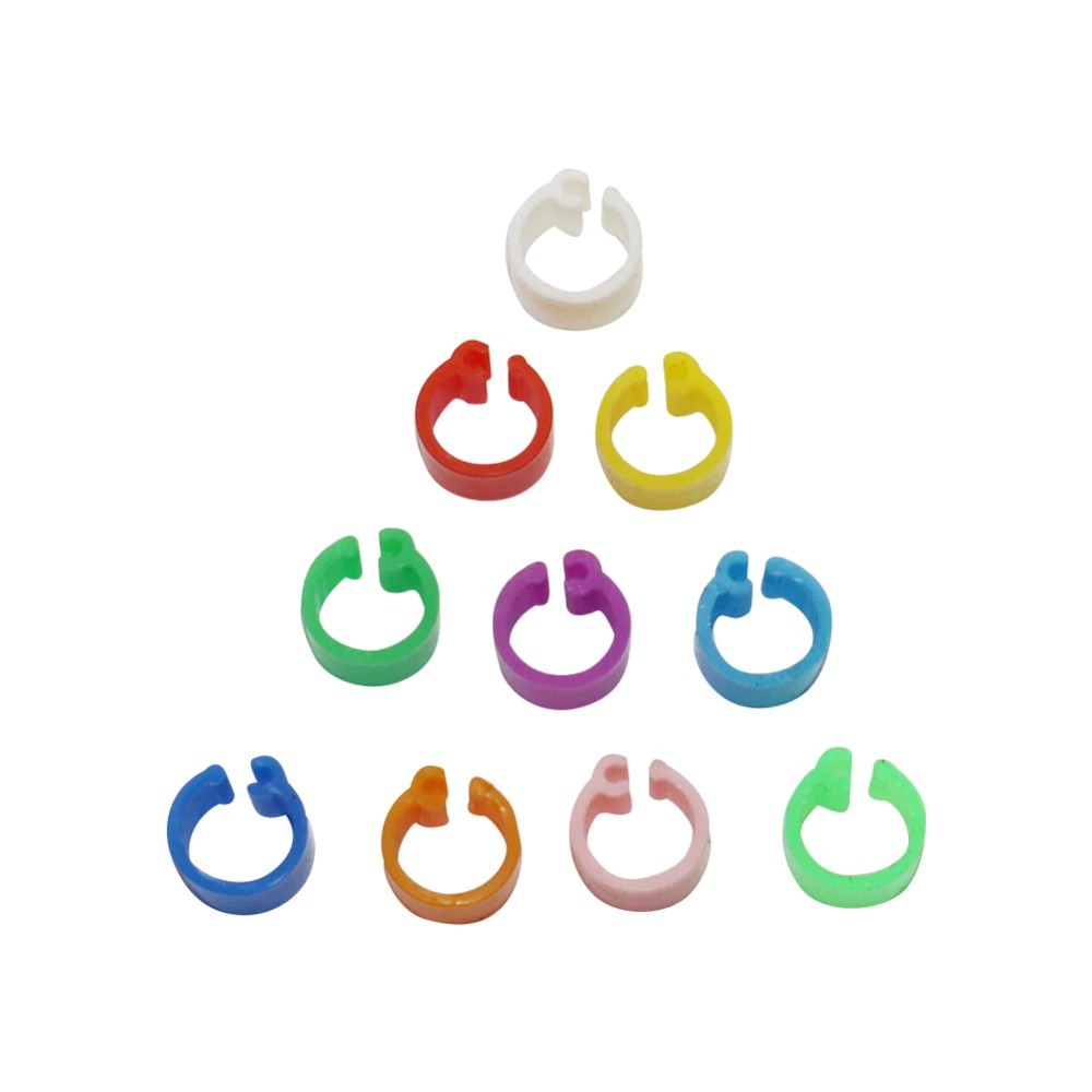 Bộ 100 Vòng Đeo Chân Chim Bồ Câu 6mm Hiện Có 10 Màu