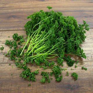 Chậu cây gia vị Ngò Tây Parsley (Petroselimun sativun)