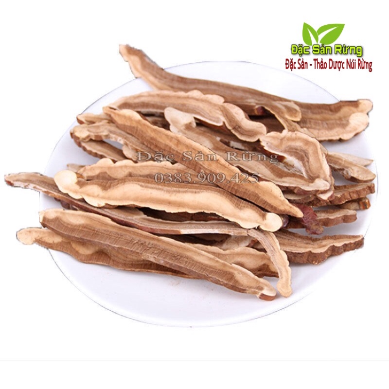 Nấm Linh Chi đỏ 1 kg - shop Đặc Sản Rừng