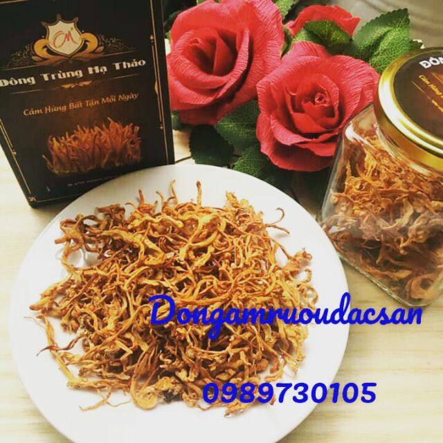 Đông trùng hạ thảo sấy khô 100g/lọ sang trọng