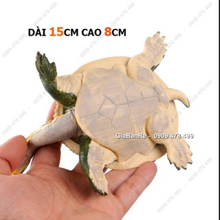 Mô Hình Baba – Rùa Nước - Size Lớn - 4703