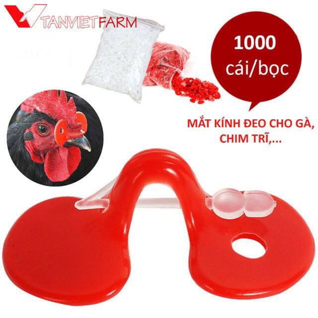 Kính gà - KÍNH CHO GÀ TRE CHIM TRĨ