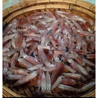 Mắm mực 500gr