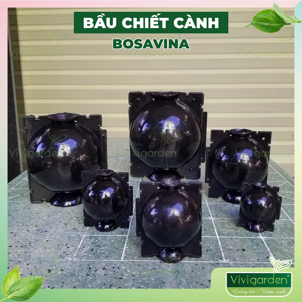 1 Bầu nhựa hộp chiết cành bosavina hỗ trợ chiết cành tạo rễ cực tốt bền hơn 4 năm