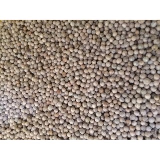 Tiêu trắng/tiêu sọ 500g