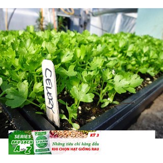 GÓI 200 HẠT GIỐNG CẦN TÂY