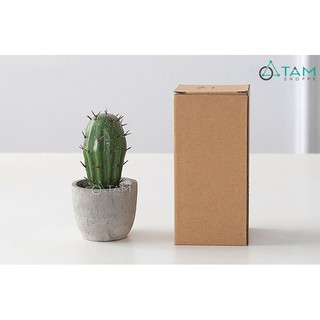 Chậu xương rồng để bàn mini số 73