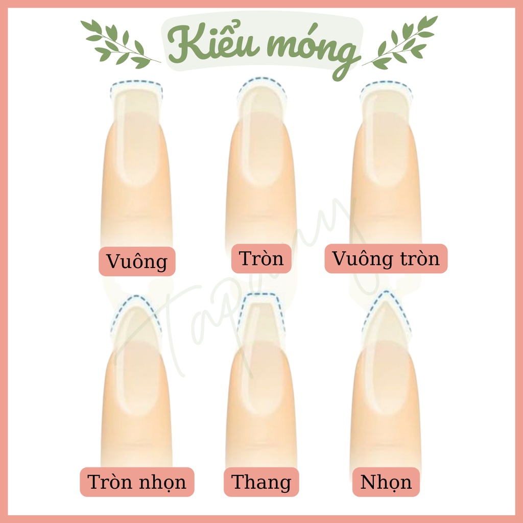 BỘ 10 MÓNG TAY GIẢ THIẾT KẾ THEO SỐ ĐO SÒ MẮT MÈO TIỂU THƯ PHỐI REN HỎA TỐC