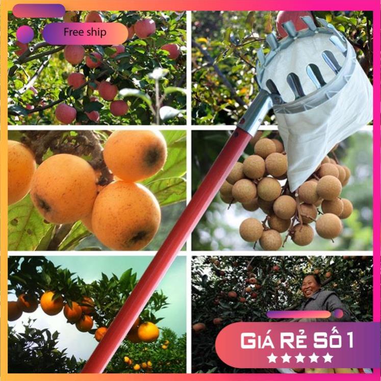 Vợt Hái Trái Cây Trên Cao Đa Năng Kèm Túi Vải, Dụng Cụ Hái Hoa Quả Kim Loại Siêu Bền Đẹp
