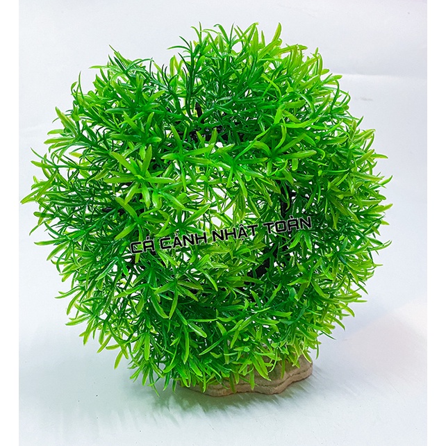 RONG GIẢ NHÂN TẠO VÒNG TRÒN TRANG TRÍ BỂ CÁ NON BỘ CAO 15CM