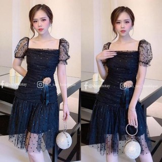 Đầm xòe lưới bi tay phồng nhúng thân cài hoa Hàng Thiết Kế