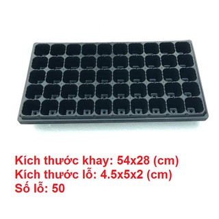 khay ươm hạt 50 lỗ, hàng loại 1 chất lượng cao