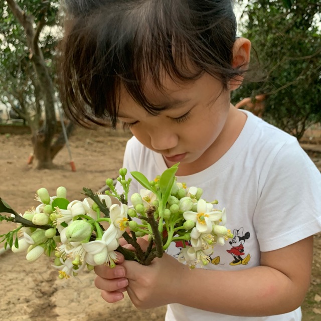 Mẹ An Như