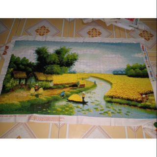 Tranh thêu cánh đồng lúa. Kt 1mx80cm
