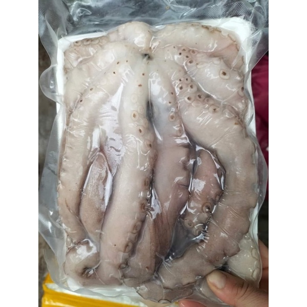 Bạch tuộc mazd