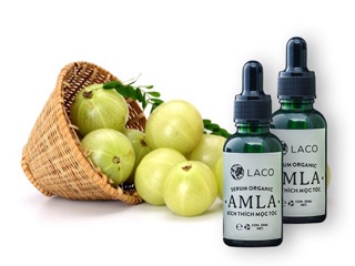 Serum Dưỡng Tóc - Kích Thích Mọc Tóc Laco
