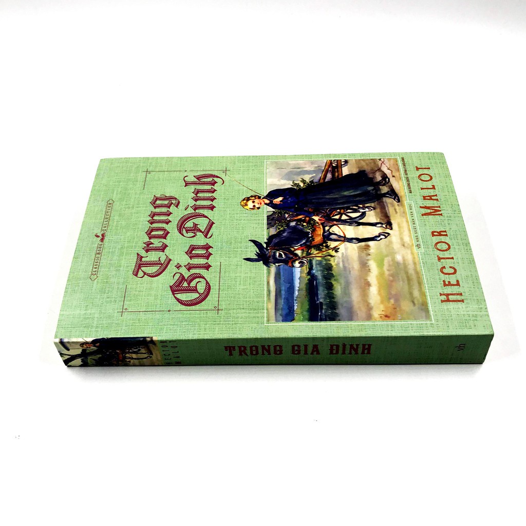 Sách - Trong gia đình - Hector Malot - tái bản MLVH4356