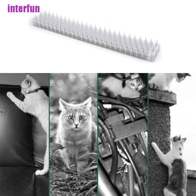 1 Móc Treo Tường Chống Trộm Hình Mèo