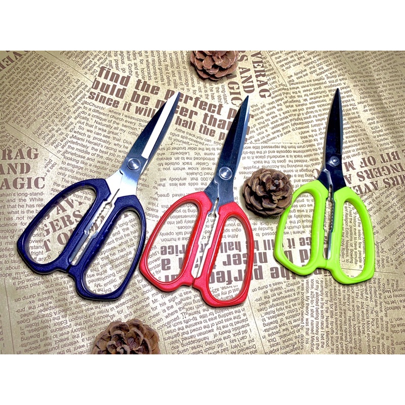 [FREESHIP] 𝐊𝐄́𝐎 𝐍𝐎̣̂𝐈 Đ𝐈̣𝐀 𝐓𝐑𝐔𝐍𝐆 𝐇𝟏𝟏