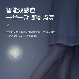 Đèn Led Cảm Biến Thông Minh Baseus