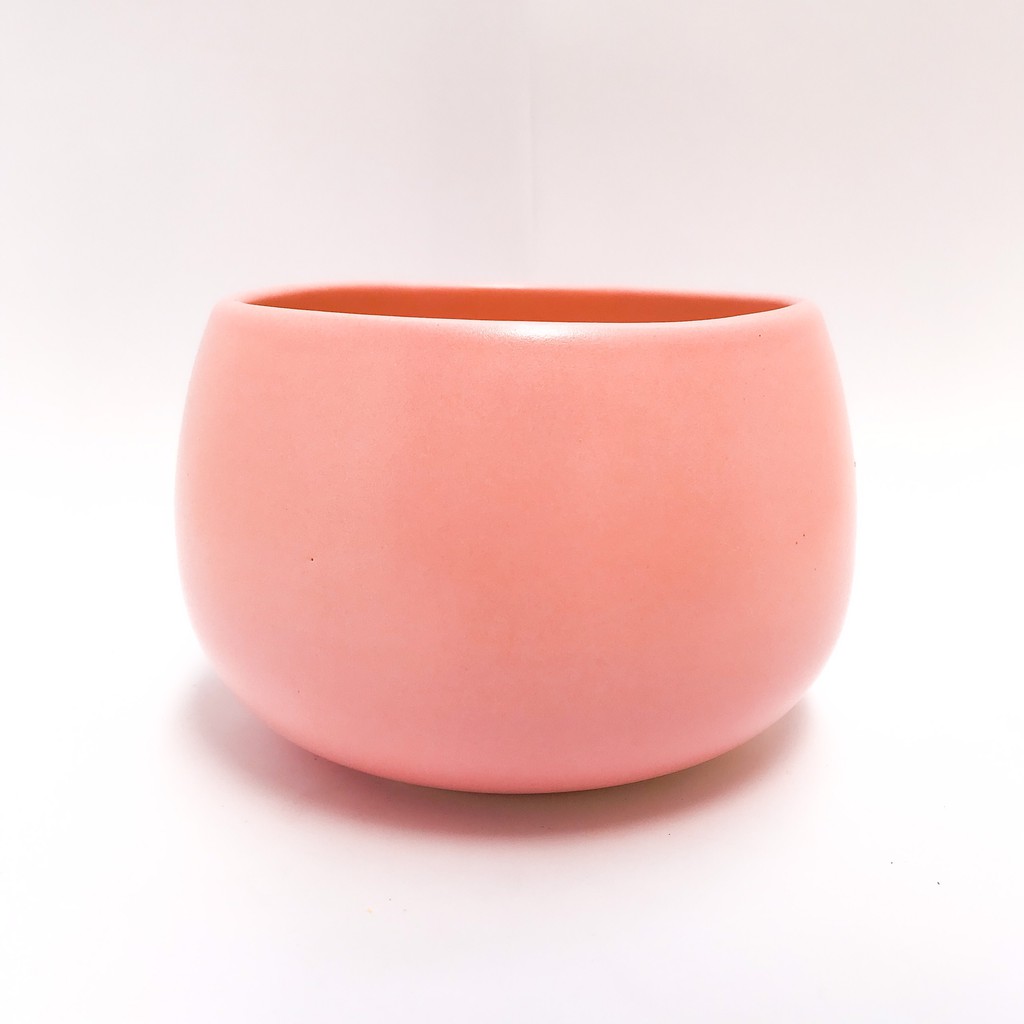 CHẬU HẠT DẺ TRỒNG SEN ĐÁ, CÂY PHONG THỦY, CÂY BONSAI MINI