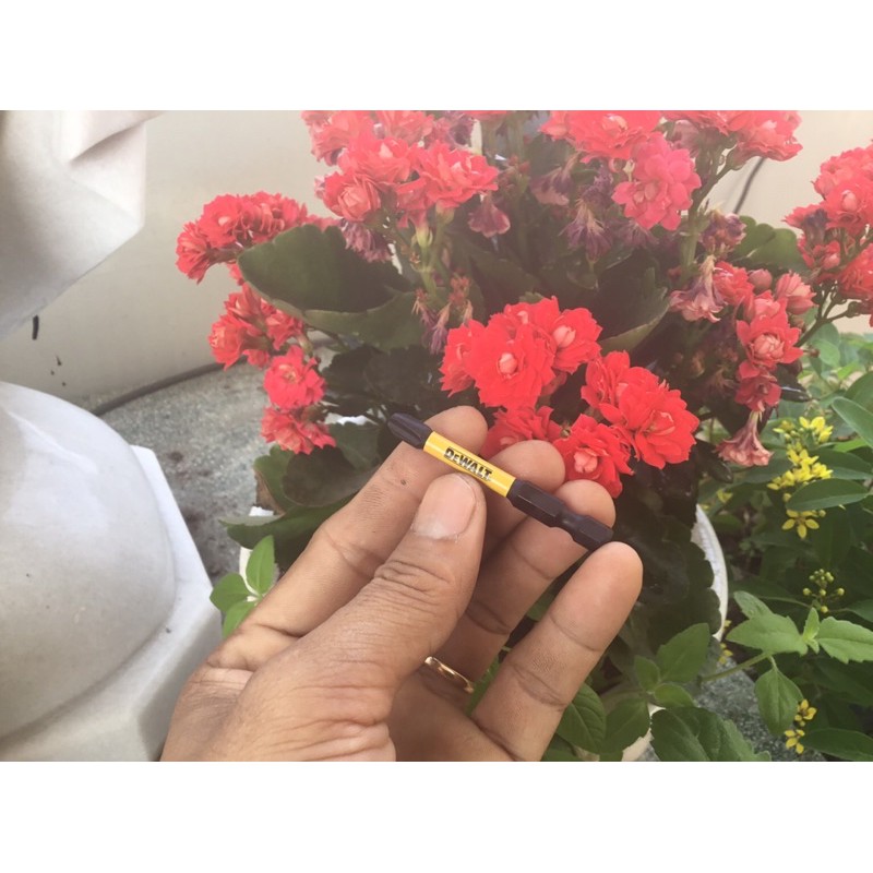 Mũi Vít DeWalt Chính Hãng ph3-58mm