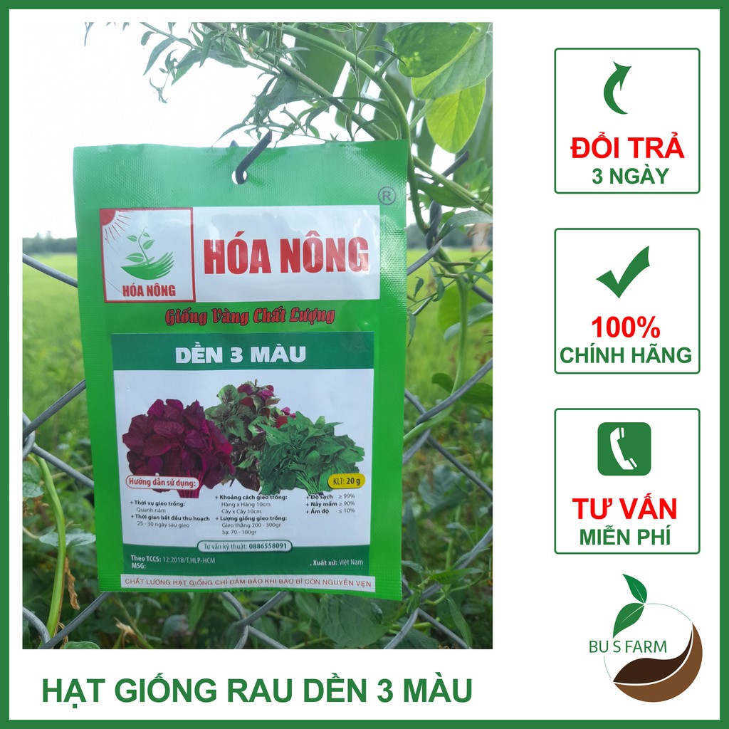 Hạt giống Rau Dền HN các loại cao sản, dễ trồng (20gr)