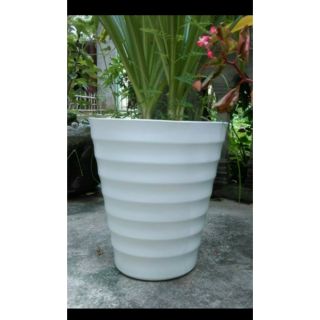 chậu trắng cao cấp rộng 25cm x30cm