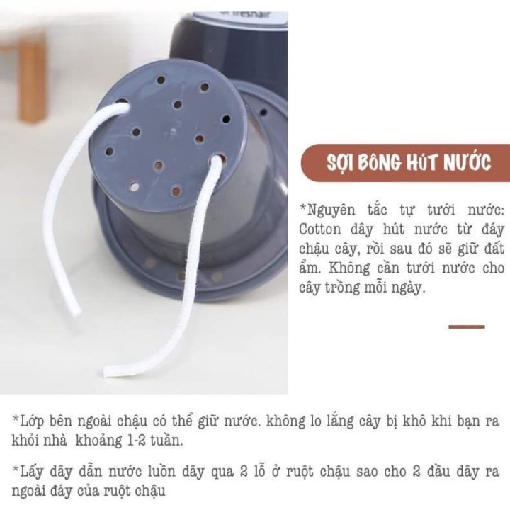 Chậu trồng cây Oliz-TA0 Có khả năng tự tưới nước tặng giá đỡ bằng gỗ, thiết kế theo phong cách vintage