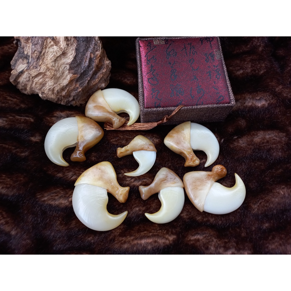 Móng vuốt cọp nhân tạo 7cm