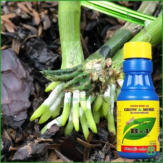 Phân Bón lá vitamin B1 Growmore, phân bón nhập khẩu kích rễ, giúp cây đâm chồi, dưỡng rễ Vuonbabylon - Chai 100ml