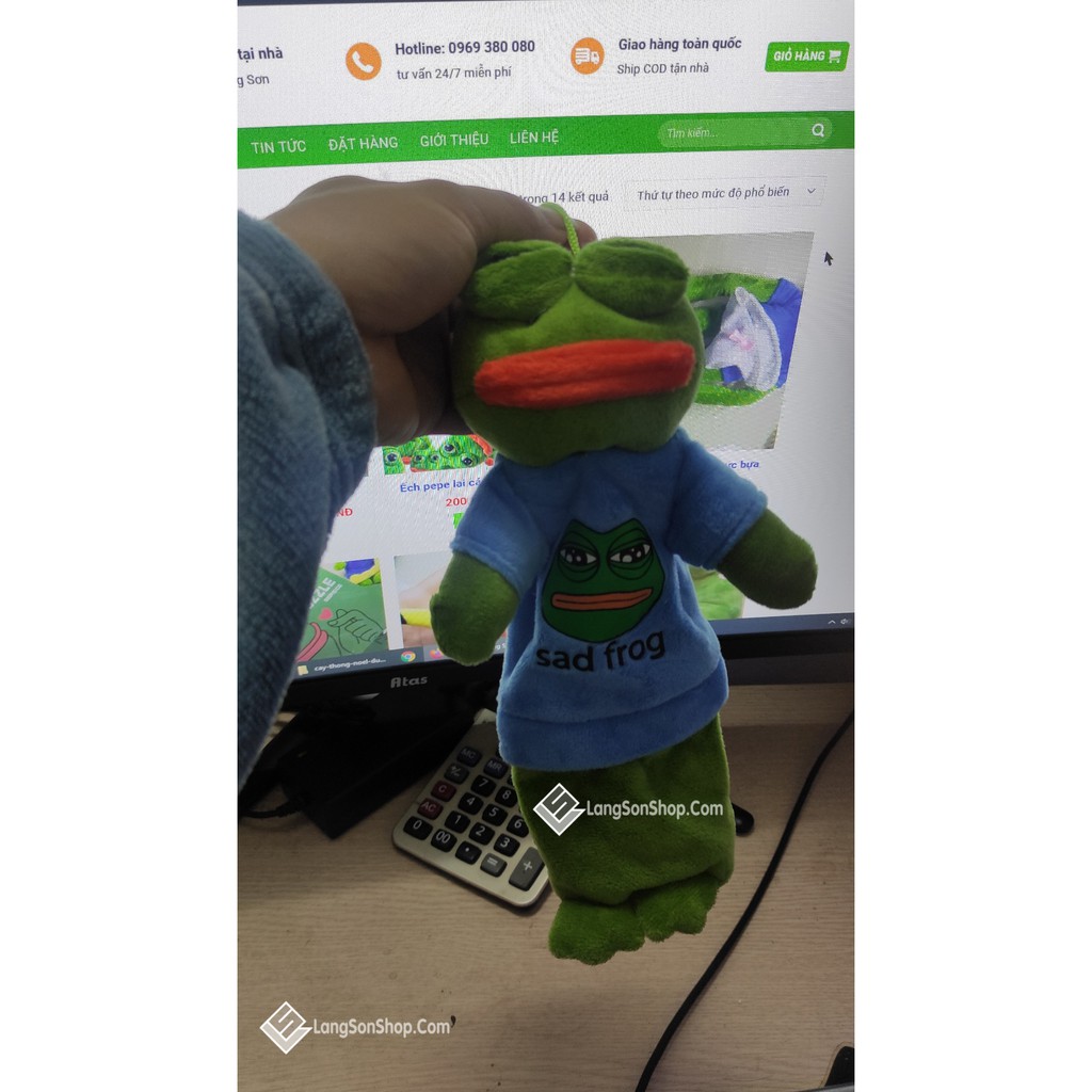Túi đựng bút Pepe cho fan Ếch xanh Pepe sad