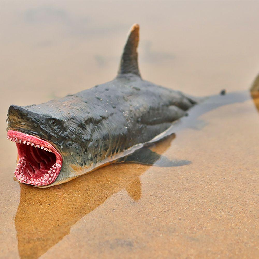 Mô Hình Megalodon Đồ Chơi Nhận Biết Giáo Dục Sớm Cho Bé