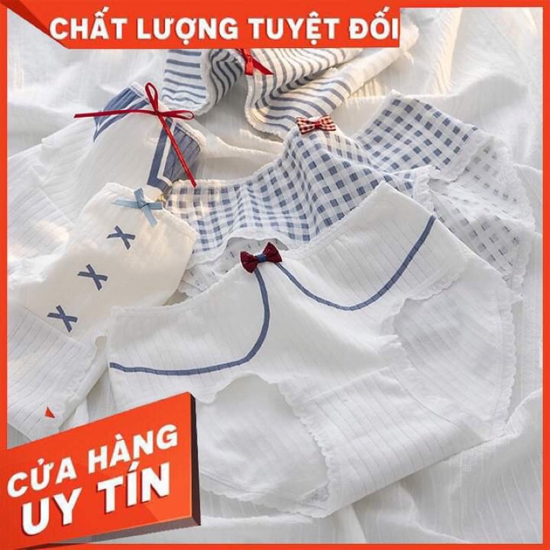 Set 5 Quần Chip Cotton - Co Dãn Thoải Mái - Dễ Dàng Vệ Sinh Giặt Giũ - Kháng Khuẩn - Có Thể Làm Quà Tặng