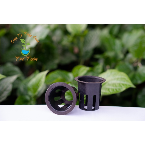 Rọ nhựa dùng trồng rau thủy canh cao cấp sử dụng cho giá thể mút xốp kích thước 55x50x35mm