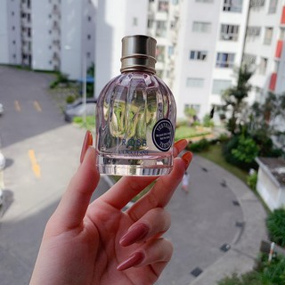 Nước hoa l'occitane rose edt 50ml pháp