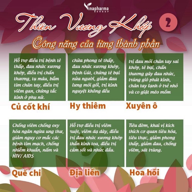 Thiên Vương Khớp Giảm Đau Dạng Xịt - Hỗ Trợ Điều Trị Xương Khớp